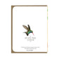 Rufous Hummingbird - Birthday Greeting Card - Mellow Monkey
