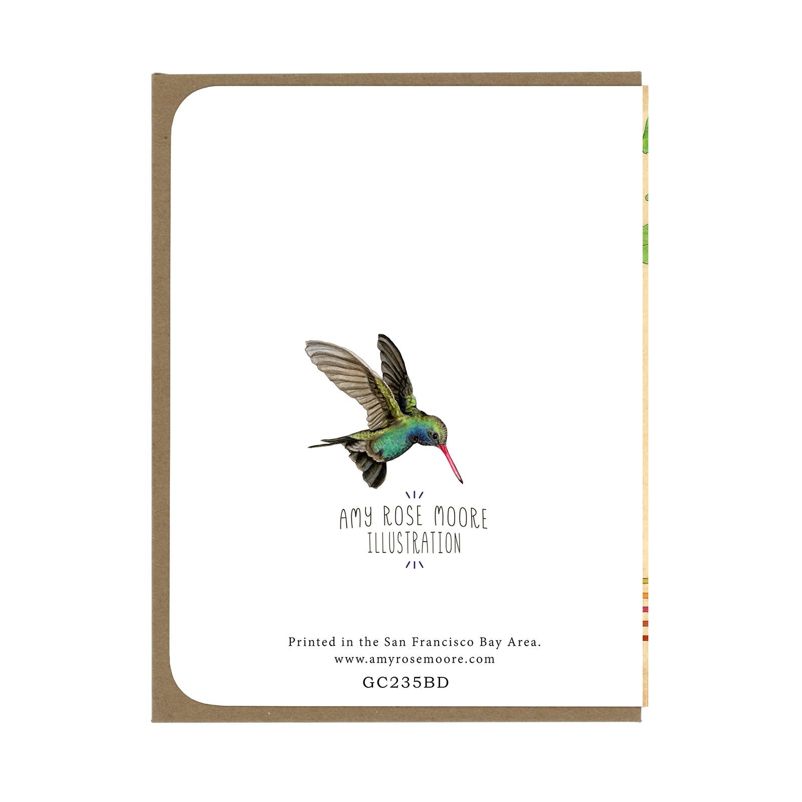 Rufous Hummingbird - Birthday Greeting Card - Mellow Monkey