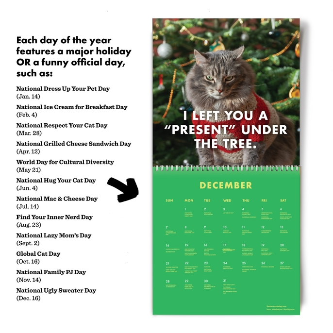 2025 Pissed-Off Cats Calendar - Mellow Monkey