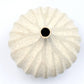 Tiny Congo - Handcrafted Porcelain Bud Vase - White with Stripes - 2.5 x 2.5 x 2.6 in - Mellow Monkey
