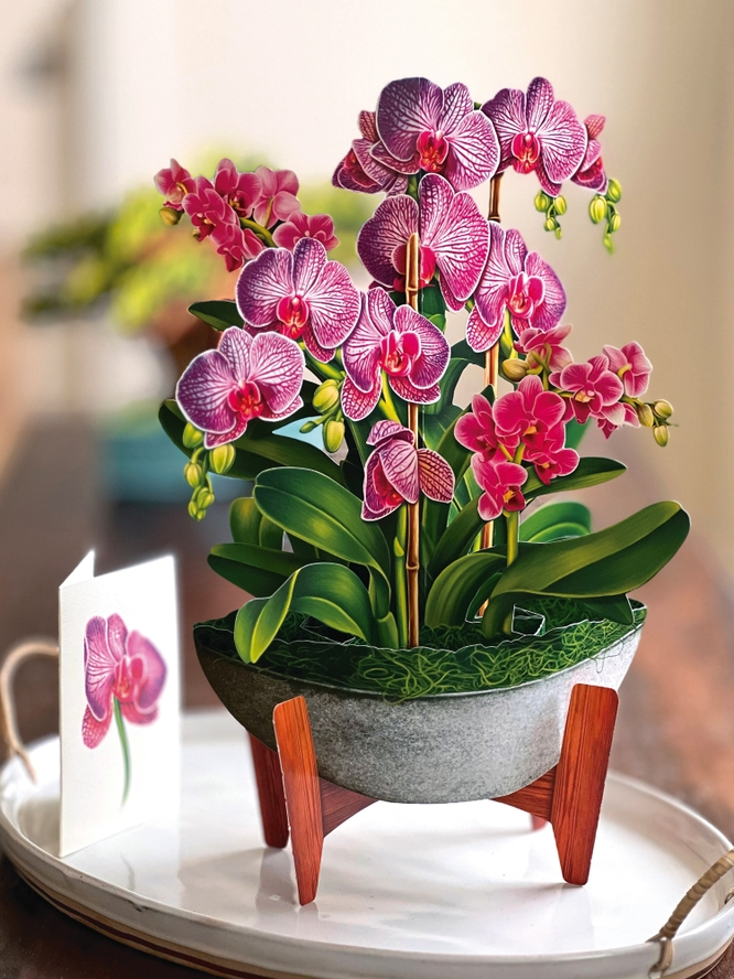 Orchid Oasis - FreshCut Paper Pop-Up Card - Mellow Monkey