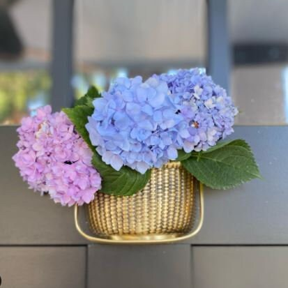 Nantucket Basket Door Knockers - Brass - Mellow Monkey