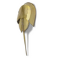 Horseshoe Crab Wall Décor - Gold - 29-in - Mellow Monkey