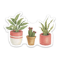 Potted Plants Sticker - Mellow Monkey