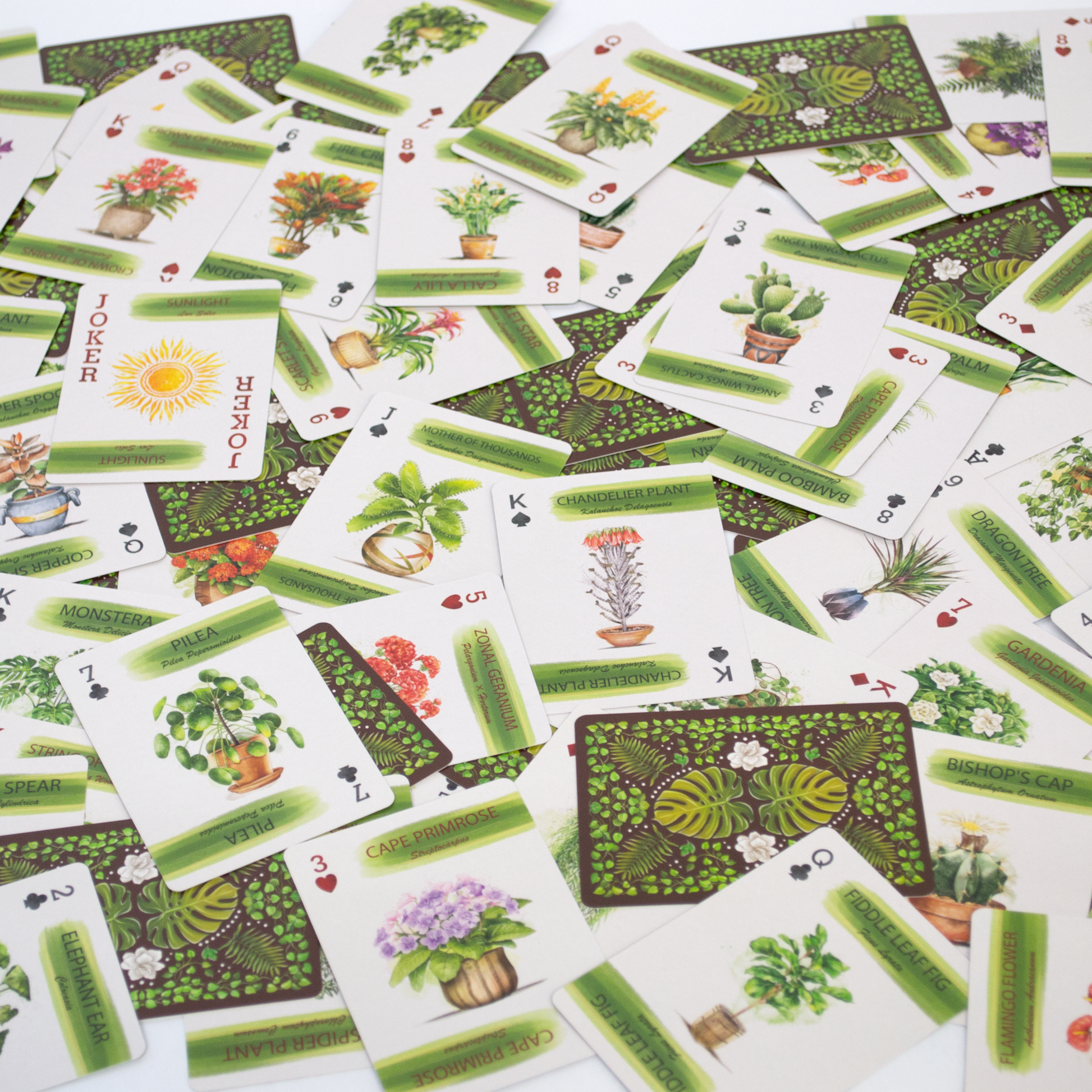 Houseplant Playing Cards - Mellow Monkey