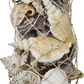 Assorted Shells in Abaca Sock - 16-in - Mellow Monkey