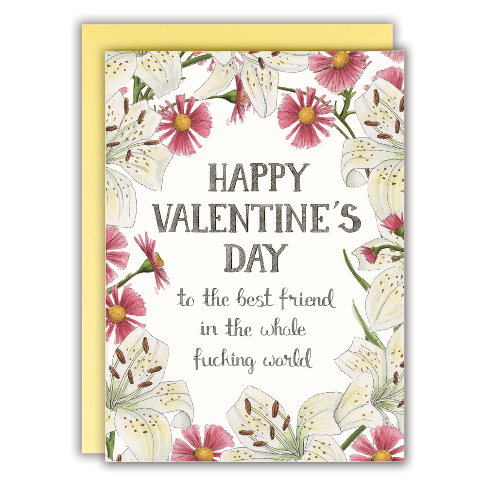 Happy Valentine’s Day, To The Best Friend In The Whole World - Mellow Monkey