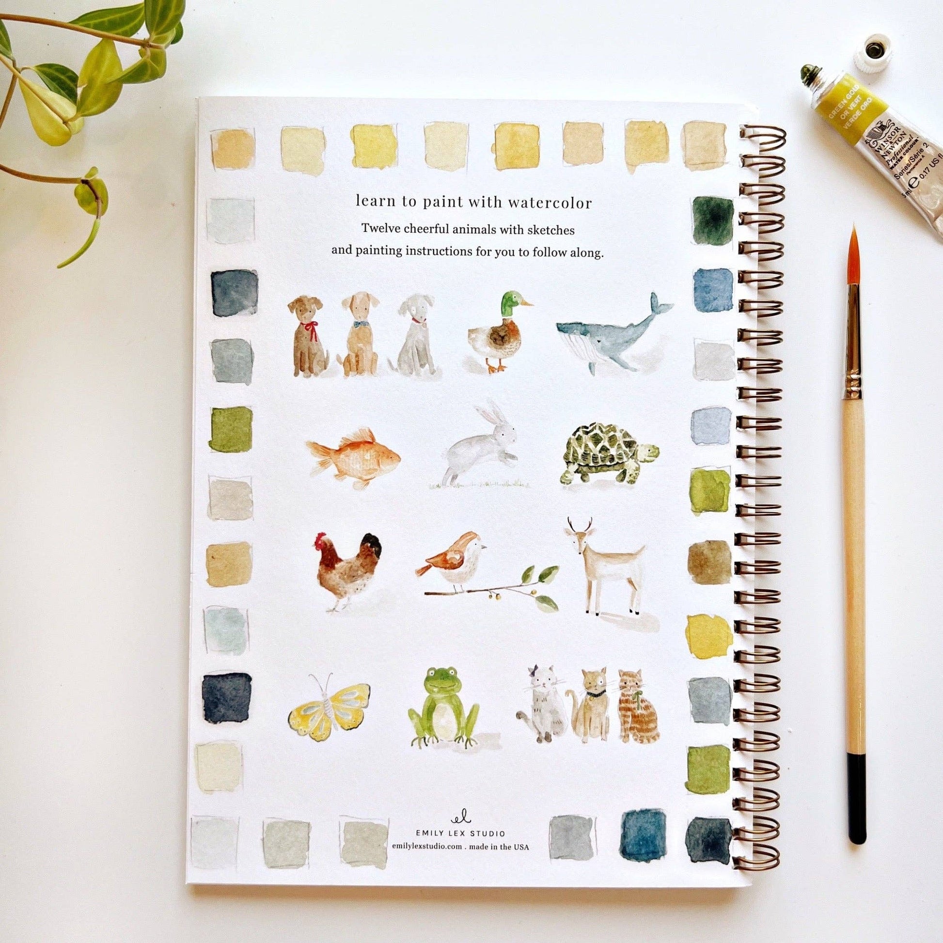 Animals - Watercolor Workbook with Water Color Paint Set and Brush - Mellow Monkey