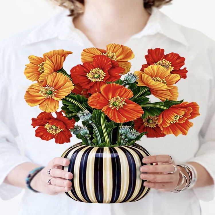 French Poppies