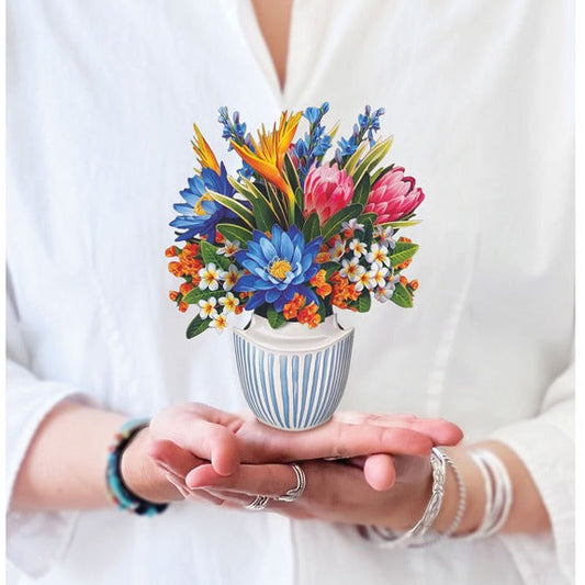 Mini Tropical Paradise