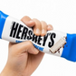Chocolate Candy Bar Squishy