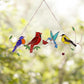 Four Birds on a Branch Suncatcher - 18.89-in - Mellow Monkey