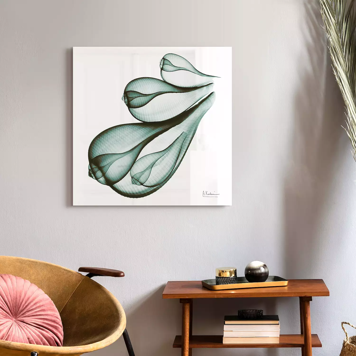 Coastal Serenity I - Radiographic Photography Artwork by Albert Koetsier - 24-in - Mellow Monkey