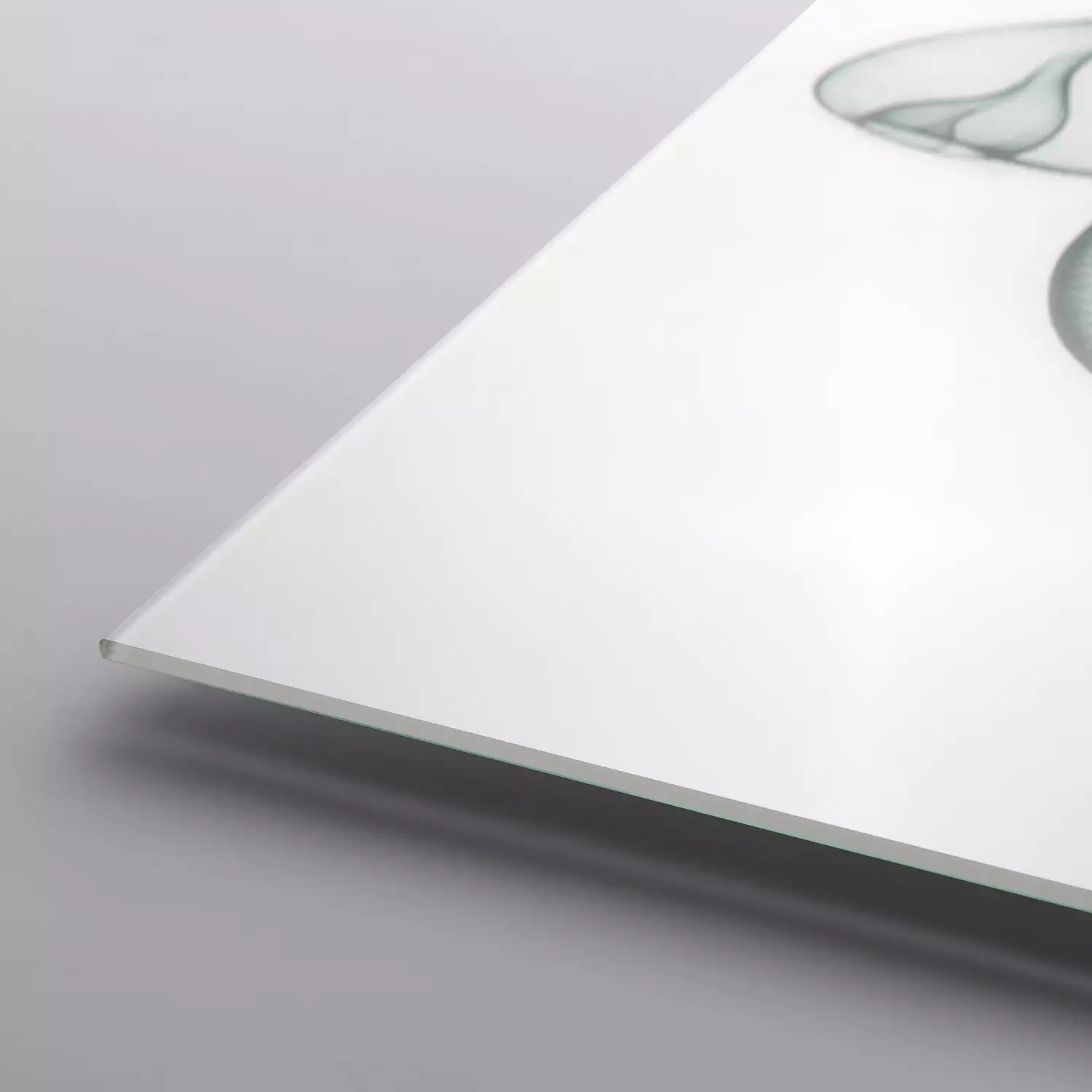 Coastal Serenity I - Radiographic Photography Artwork by Albert Koetsier - 24-in - Mellow Monkey