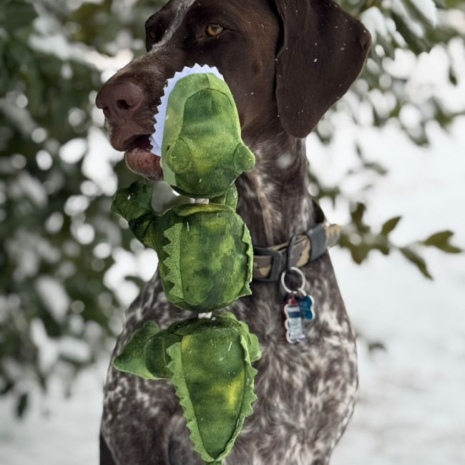 Jointed Gator Shake Play Dog Toy - Mellow Monkey