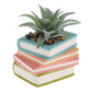 SHAPED SUCCULENT POT  BOOKS (S26)