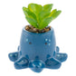 SHAPED SUCCULENT POT  OCTOPUS (F25)