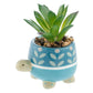 SHAPED SUCCULENT POT  TURTLE (F25)