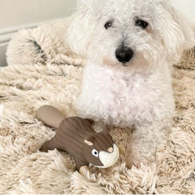 Natural Rubber Squirrel Squeaker Toy - 7" - Mellow Monkey