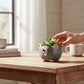 Mini Mouse Planter-Gray-2"H - Mellow Monkey