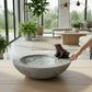 Resin Fountain with Frog with Concrete & Bronze Finish - 17-in - Mellow Monkey