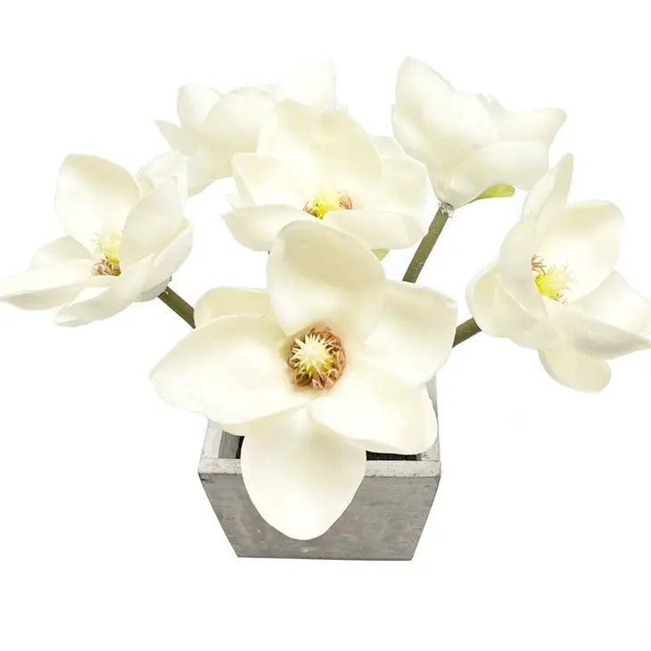 Real Touch Potted Magnolia Tabletop Centerpiece - Wood Base - 11" - Mellow Monkey