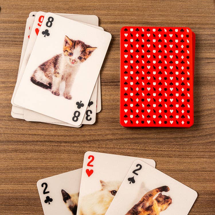Mellow Monkey lenticular 3D playing cards featuring various cat photos on a wooden surface
