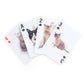 Mellow Monkey lenticular 3D playing cards featuring various cat breeds on each card face against a white background.