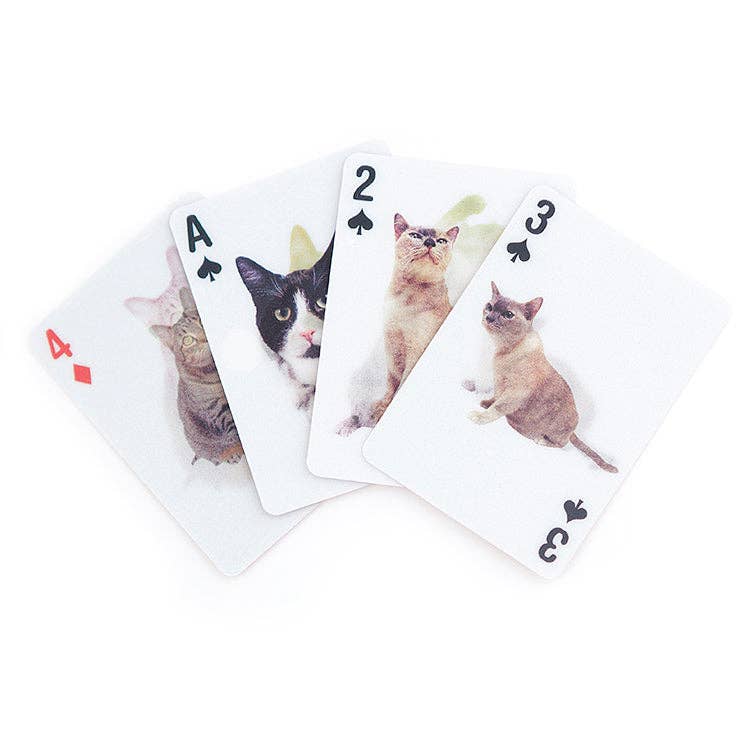 Mellow Monkey lenticular 3D playing cards featuring various cat breeds on each card face against a white background.