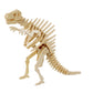 Mellow Monkey 3D wooden T-Rex skeleton puzzle, natural wood, educational toy for kids and adults.