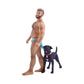 Mellow Monkey December Diamonds CopperTan Bear Figurine with blue speedo and black dog with orange collar.