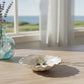 Mellow Monkey blue and mint crystal dangle earrings in a decorative shell dish by a sunny coastal window.