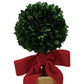 Mellow Monkey dried boxwood topiary sphere in a terra-cotta pot featuring a festive red velvet bow