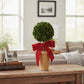 Mellow Monkey preserved boxwood topiary sphere in a terra-cotta pot with a festive red velvet bow on a wooden table.