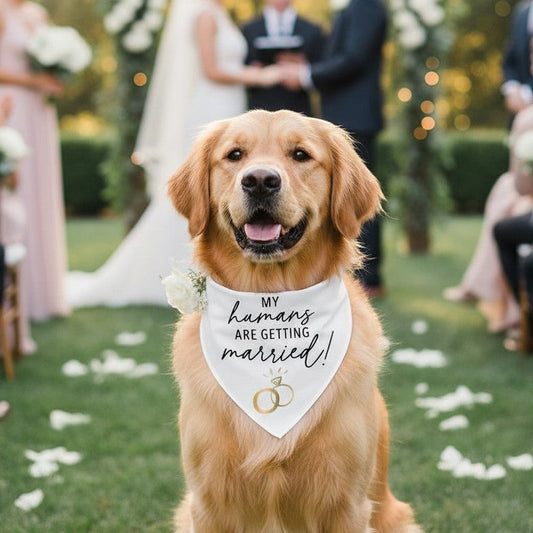 Mellow Monkey white pet bandana with black "My Humans Are Getting Married" text and gold rings.