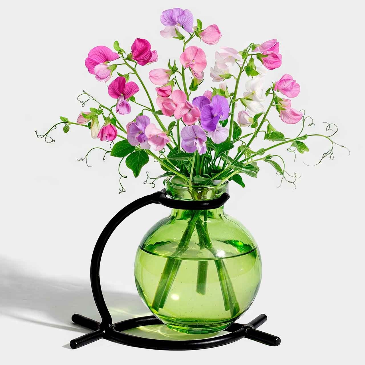 Mellow Monkey Casablanca lime green recycled glass mini vase suspended in a black metal stand with sweet pea flowers.