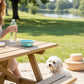 Mellow Monkey light blue collapsible silicone pet bowl with carabiner on a picnic table.