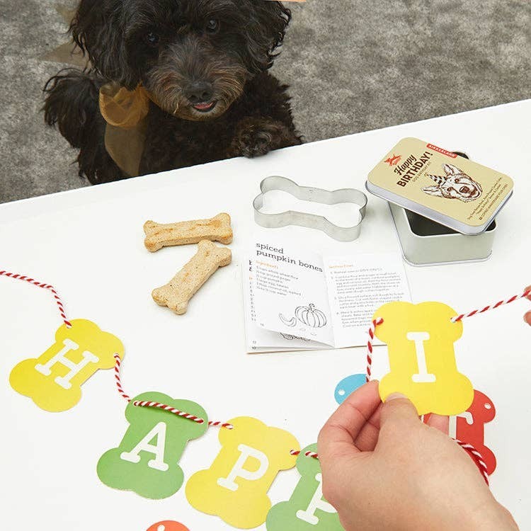 Mellow Monkey Dog Birthday Kit with bone-shaped treats, cookie cutter, banner, and recipe book. A dog wears a yellow bow.