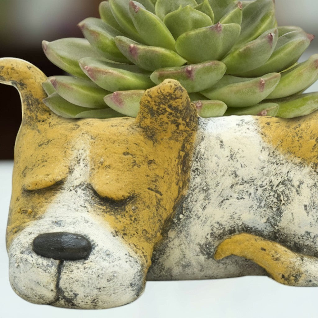 Mellow Monkey Luna Sleeping Dog Blobhouse Planter, a charming poly-resin planter shaped like a dog, holding a succulent.