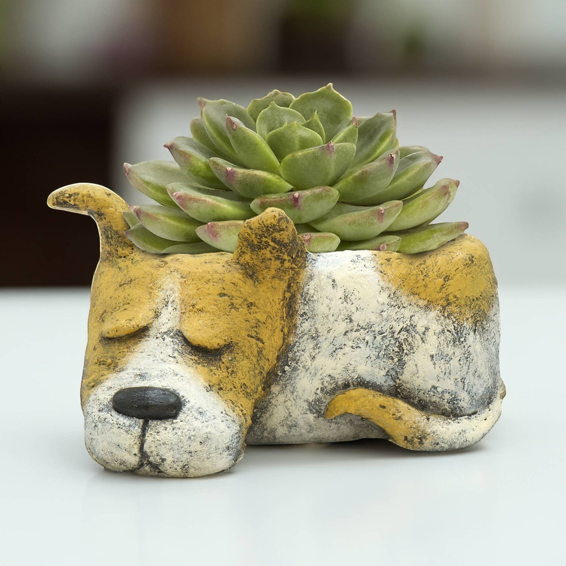Mellow Monkey Luna Sleeping Dog Blobhouse Planter, handcrafted poly-resin, yellow and white, for succulents.