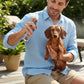 Mellow Monkey Really Good Doggie Deodorizer spray being applied to a brown dachshund held by a man outdoors
