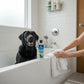 Mellow Monkey Really Good Doggie Shampoo bottle next to a happy black Labrador in a white tiled bathtub