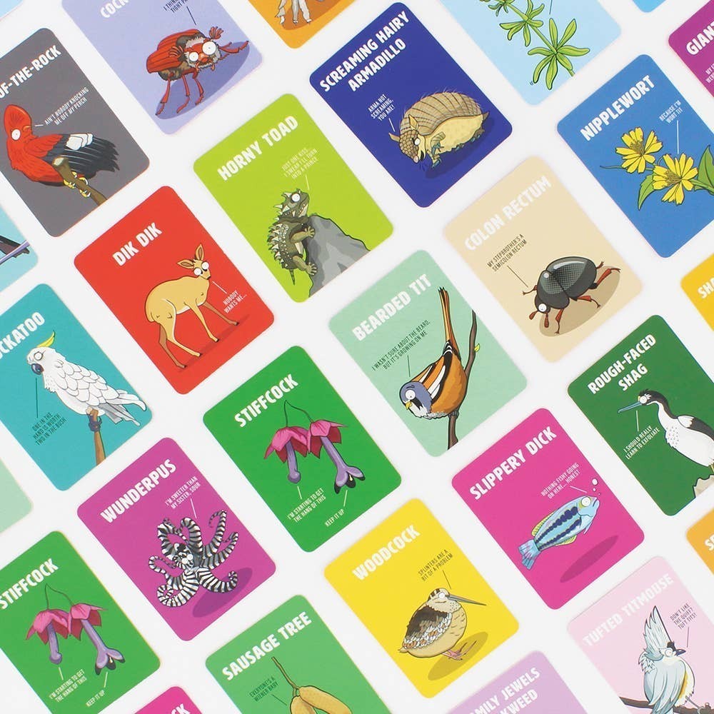Mellow Monkey Don't Be a Dik Dik adult card game featuring colorful illustrated cards with nature-themed puns.