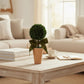 Mellow Monkey dried boxwood topiary in a terra-cotta pot adorned with a green velvet bow on a wooden table.