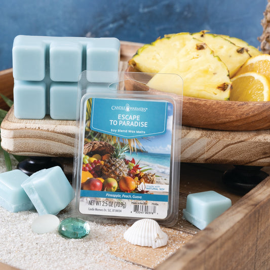 Mellow Monkey Escape to Paradise soy wax melts in light blue cubes with tropical fruit and beach decor