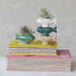Mellow Monkey stoneware fish shaped container in blue, green, white, and taupe. Use as a toothpick holder or planter.