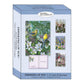 Mellow Monkey boxed set of 12 floral thinking of you cards featuring KJV scripture and bird illustrations.