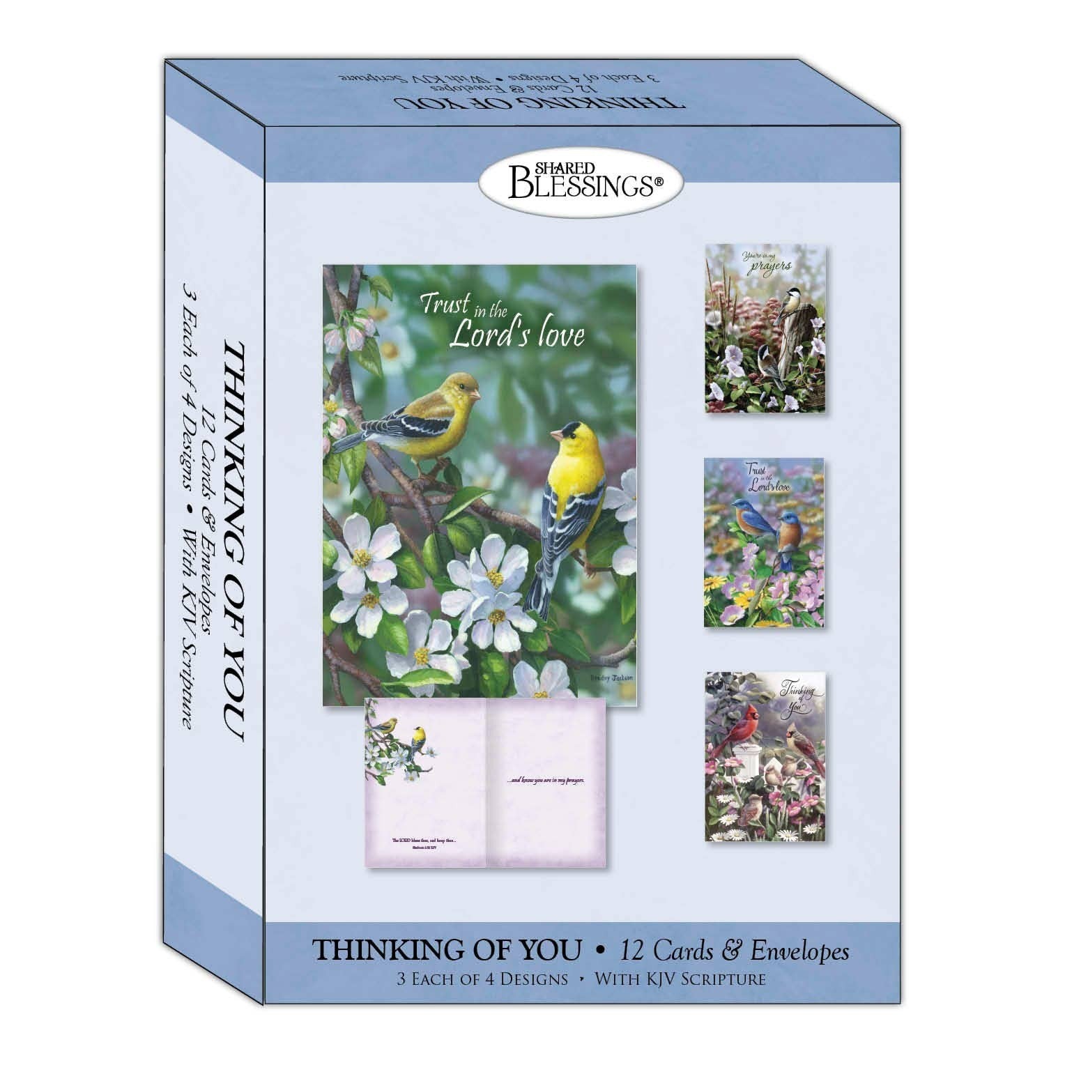 Mellow Monkey boxed set of 12 floral thinking of you cards featuring KJV scripture and bird illustrations.