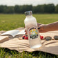 Mellow Monkey funny vinyl sticker with a duck illustration and text on a frosted water bottle in a park setting.