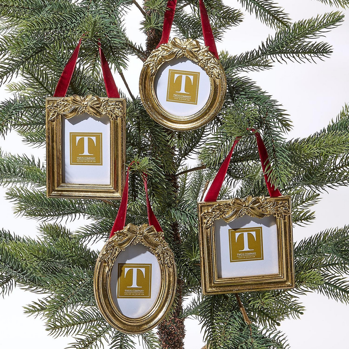 Mellow Monkey gold holly leaf photo frame ornaments in round, oval, square, and rectangle shapes on a Christmas tree